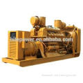 Multi function reliable quality electric starting 75kva biomass generator with economic price